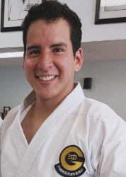 Michel Polo