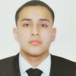 Fabricio  Bravo Lozano